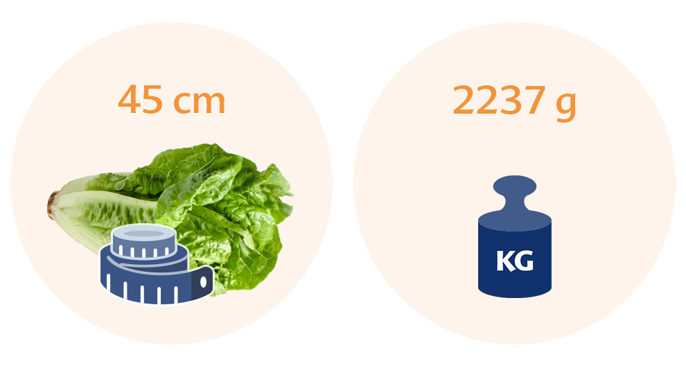 Two circles, one with a green leafy vegetable and a measuring tape, and the other with a blue weight scale and a number.