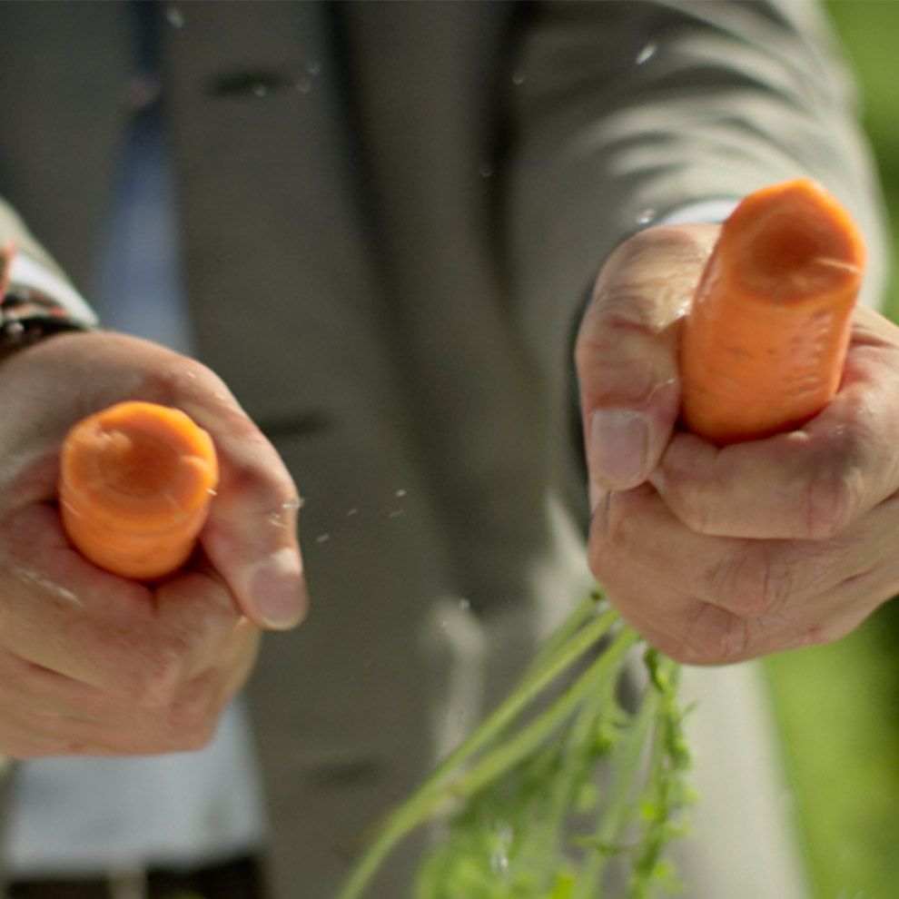 A person's hands squeeze two carrots.